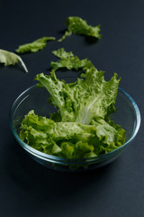 fresh salad leaves in bowl on dark background.