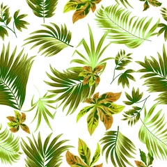 Afwasbaar Fotobehang Tropische bladeren Groene naadloze patroon tropische bladeren van palmboom.