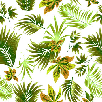 Green Seamless pattern tropical leaves of palm tree.