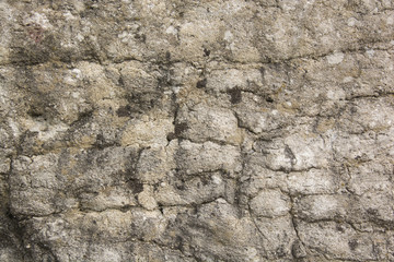 roccia 8