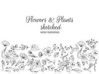 Frame composed of flowers.Hand drawn flowers, sketched flowers and plants, black and white, monochrome. Vector illustration.