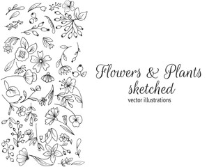 Frame composed of flowers.Hand drawn flowers, sketched flowers and plants, black and white, monochrome. Vector illustration.