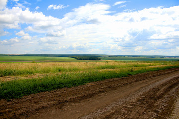 Landscape colored fields, blue sky and dirt road goes to the distance