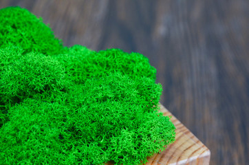 green flower in a wooden pot, indoor flower on a shelf