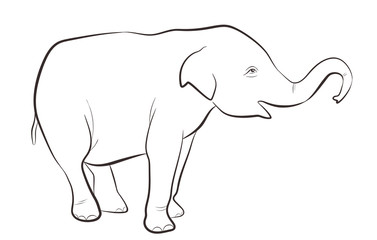 Indian elephant in outline style isolated on white background, coloring page for children