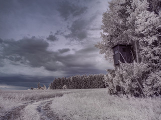 infrared photography - ir photo of landscape with tree under sky with clouds - the art of our world...