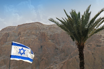 Isreal flag with palm tree