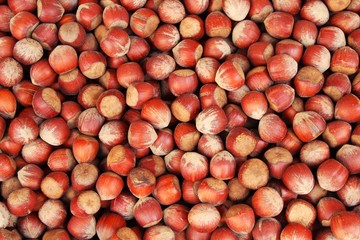 Haselnüsse auf dem Markt (Nahaufnahme)