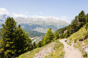 St. Moritz, Muottas Muragl, Wanderweg, Panoramaweg, Oberengadin, Seenplatte, Piz Nair, Piz Ot, Piz Julier, Alpen, Sommer, Graubünden, Schweiz