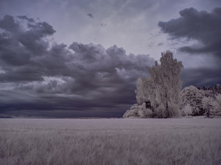 infrared photography - ir photo of landscape with tree under sky with clouds - the art of our world...
