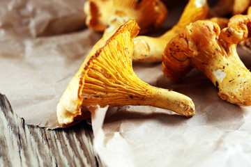 Mushrooms chanterelle on table. Raw wild mushrooms chanterelles. Composition with wild mushroom