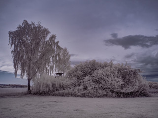 infrared photography - ir photo of landscape with tree under sky with clouds - the art of our world...