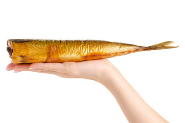 The smoked fish mackerel in hand on white background isolation