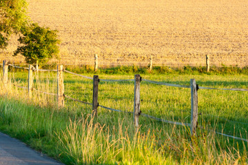 Fototapeta na wymiar Old wooden fence on green meadow