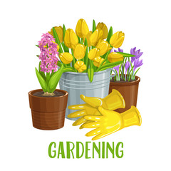 gardening banner with flowers