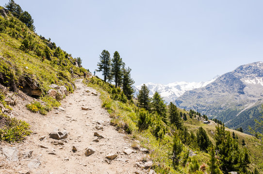 Pontresina, Piz Pal&uuml;, Diavolezza, Bernina, Muottas Muragl, Wanderweg, Panoramaweg, Alpen, Graub&uuml;nden, Oberengadin, Sommer, Schweiz