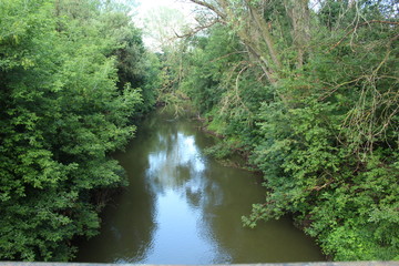 river in the forest