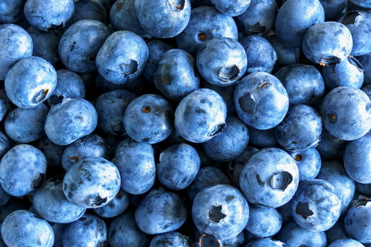 Fresh blueberry background. Concept of healthy and dieting eating. Flat lay, top view 