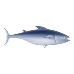 Tuna fish mockup. Realistic illustration of tuna fish vector mockup for web design isolated on white background
