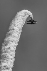 Fototapeta premium Flying High