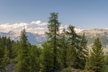  cesana torinese