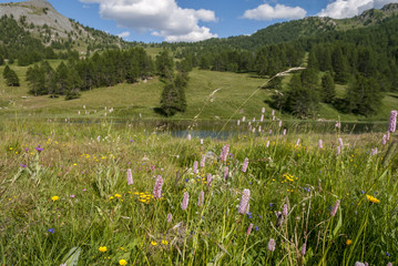 lago nero