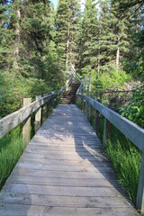 Boardwalk At Marsh Loop Trail, Banff National Park, Alberta