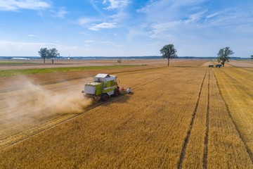 Obraz premium Drone view of harvester combine working on field.