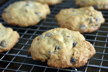 Chocolate Chip Cookies on a Baking Rack