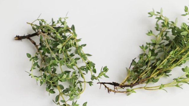 Fresh green thyme twigs on white table. Selective focus. Slow pan.