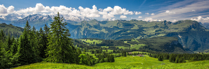 Fototapeta na wymiar Beautiful summer landscape of Switzerland with Swiss Alps and green meadows