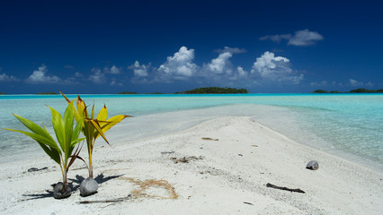 Tropical blue lagoon of Rangiroa atoll, French Polynesia - obrazy, fototapety, plakaty