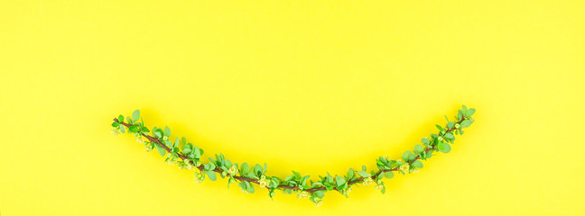 Obraz premium Color paper background with flowering barberry
