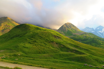 Fototapeta premium Hügellandschaft, Bergwiese, Alpen, Bergluft, Wandern, Urlaub, Ferien, frische Luft, Auszeit