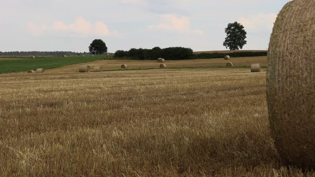Bales of hay on a beveled field
