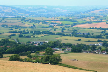 Fototapeta na wymiar Beautiful countryside landscape in East Devon
