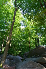 Felsenmeer (Lautertal)