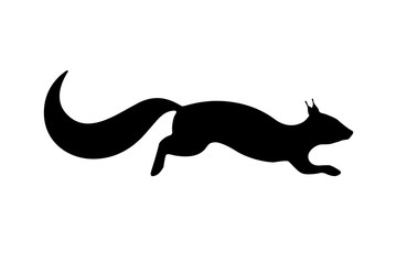 Vector illustration of a black silhouette of a squirrel.