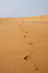 Man's track against a blue sky on the Indian Ocean Coast in the Western Province of Sri Lanka