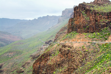 Forest landscapes and mountains of Roque Nublo Tejeda, Gran Canaria, selective focus