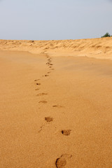 Man's track against a blue sky on the Indian Ocean Coast in the Western Province of Sri Lanka