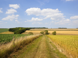 Fototapeta premium Yorkshire Wolds bridleway