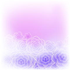 Obraz na płótnie Canvas Beautiful purple pink rose flower background. Background for your design.