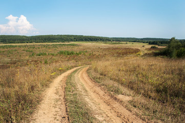 Fototapeta premium Dirt road in the meadow
