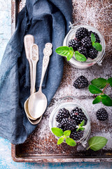 Blackberry with Greek Yogurt and Mint. Fresh Berry.  Useful Breakfast in a Jar. Smoothie Light Meal...