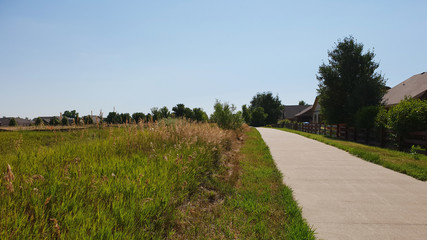 Path with Tall Grass