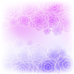 Beautiful purple pink rose flower background. Background for your design.