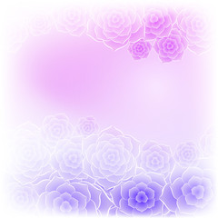 Beautiful purple pink rose flower background. Background for your design.