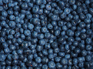 Fresh sweet blueberry background. Vaccinium corymbosum, the northern highbush blueberry. Close-up swamp huckleberry blue-black berry texture, surface