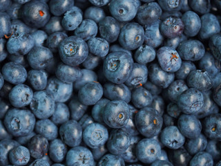 Vaccinium corymbosum, the northern highbush blueberry. Fresh sweet blueberry background. Close-up swamp huckleberry blue-black berry texture, top view